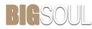 Bigsoul Logo
